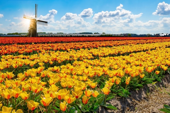 Nieuwsbrief maart 2025