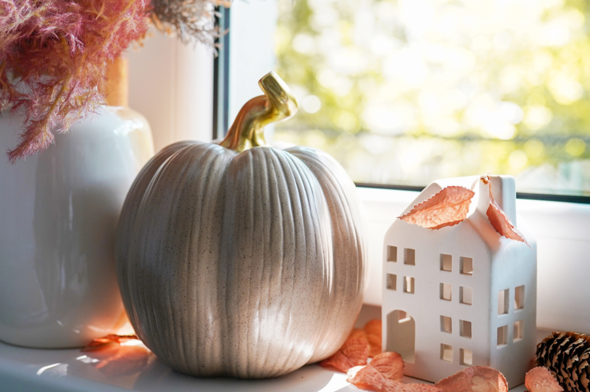 Herfst foto nieuwsbrief Stolp+KAB oktober