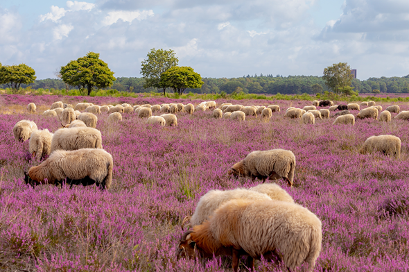 Nieuwsbrief oktober 2026
