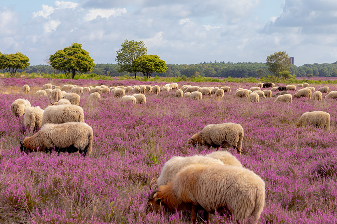 Nieuwsbrief oktober 2026